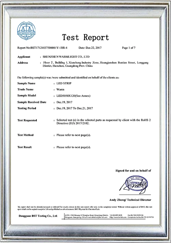 LED灯带英文版检验报告